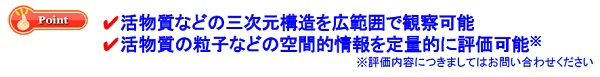 リチウムイオン二次電池正極材の
立体構造観察・解析