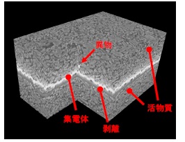 リチウムイオン二次電池負極材の構造評価