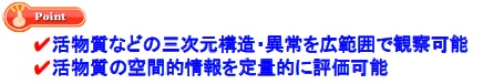 リチウムイオン二次電池負極材の構造評価