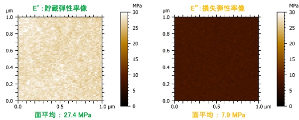 PDMSのAFMによる動的粘弾性評価 【AFM-DMA】