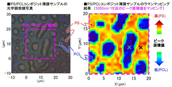 ラマンマッピングによる有機膜の組成分布評価