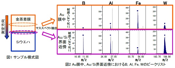 デバイスの金属膜中および界面における金属不純物の評価
