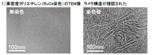 電子染色を用いた高分子材料の(S)TEM観察