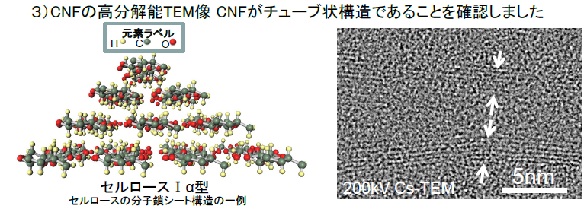 ネガティブ染色による(S)TEM観察事例