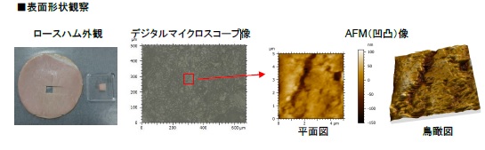 AFM-MAによる食品（ロースハム）の機械特性評価