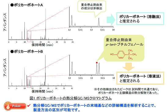 二次電池セパレータの構造評価