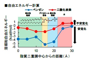 引張試験を実施する際のサンプル寸法と外観