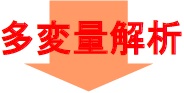 引張試験を実施する際のサンプル寸法と外観