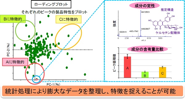 引張試験を実施する際のサンプル寸法と外観