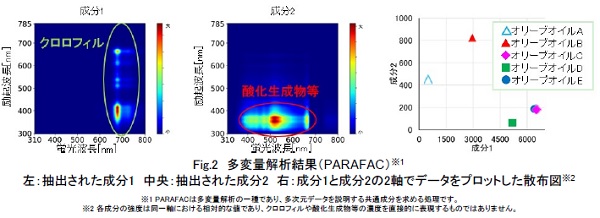 多変量解析結果(PARAFAC)