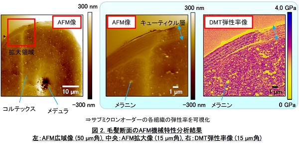 Microtome_Modulus_DMT_JKR_Hair_diagram