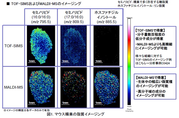 lipid_imaging