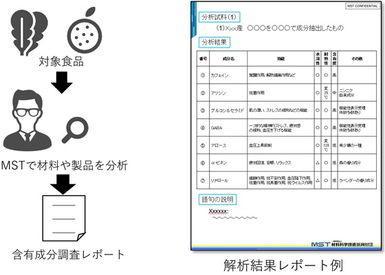 含有成分調査レポートと解析結果レポート例