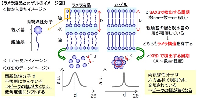 ラメラ液晶とαゲルのイメージ図
