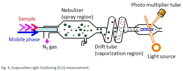 Evaporative Light Scattering (ELS) measurement.