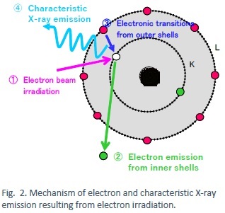 Mechanism of electron and characteristic X-ray emission resulting from electron irradiation.