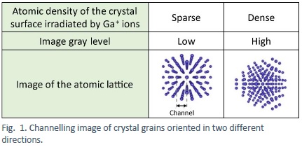 Channelling image of crystal grains oriented in two different directions.