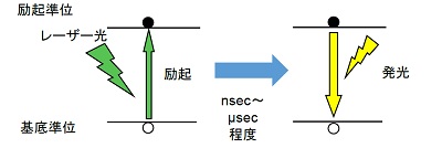 蛍光寿命測定の原理