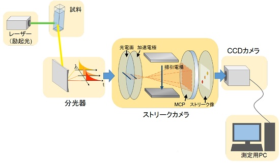 蛍光寿命測定の原理