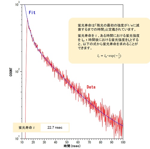 蛍光寿命測定のデータ例