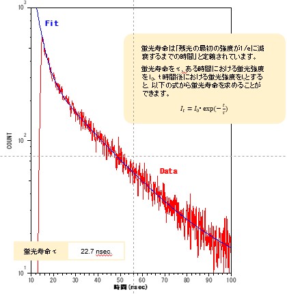 蛍光寿命測定のデータ例