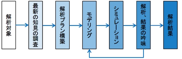 ナノシミュレーション解析の流れ