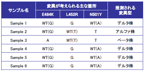 原理・装置構成