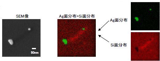 面分析（オージェ像）（サンプル：Siウエハ上の異物）