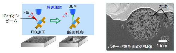 バターをFIBで加工し、断面をSEM観察した例