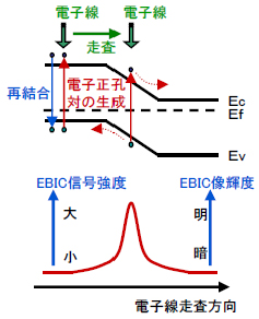 概要