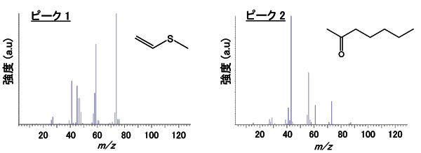 マススペクトル： リチウムイオン二次電池負極バインダ材料