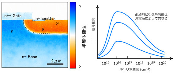 SCM像（極性像）： Si Planer IGBT