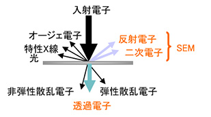 電子線と物質との相互作用