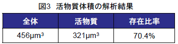活物質体積の解析結果