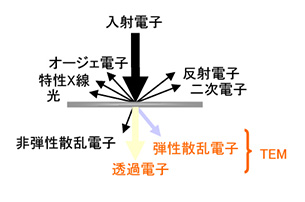 電子線と物質との相互作用