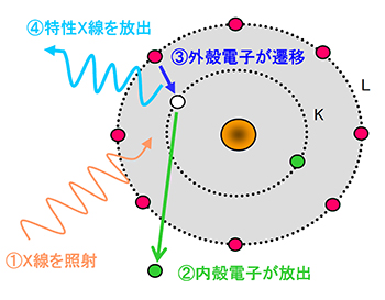 原理