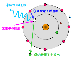 特性X線発生の過程
