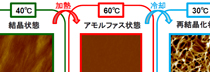 加熱・冷却過程における経時変化のAFM動画観察（C0585）