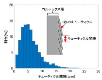 毛髪の三次元構造解析（C0688）を追加
