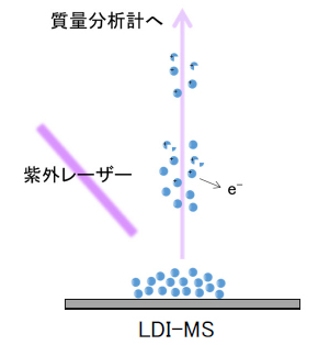 LDI-MS（レーザー脱離イオン化質量分析法）の概要と特徴（B0294）を追加
