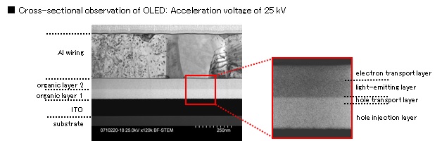 有機ELの断面観察