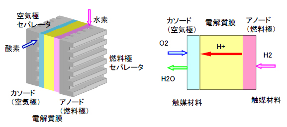 燃料電池