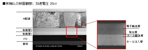 有機ELの断面観察