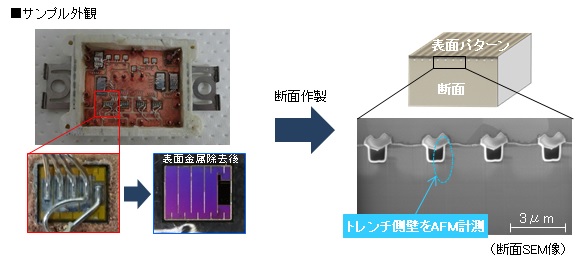 サンプル外観