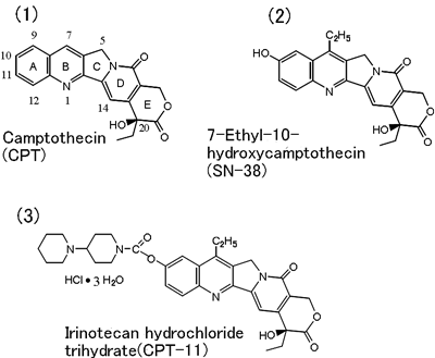 Fig. 1 Chemical conversion of camptothecin into irinotecan hydrochloride