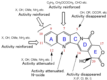 Fig. 2  Structure-activity correlation