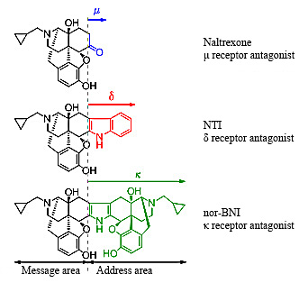 Fig. 1 Message-address concept and structures of the three antagonists