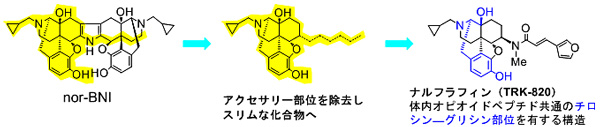 図3 アクセサリー部位の概念とκ作動薬ナルフラフィンの設計・合成