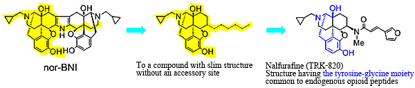 Fig. 3  Accessory site theory and design and synthesis of  agonist nalfurafine