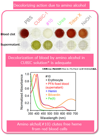 Fig. 2 Decolorization effect of amino alcohol